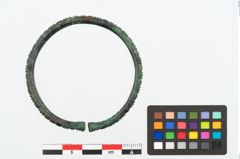 Foto von Bronzeperlarmreif (NHMW-PRAE-025241)